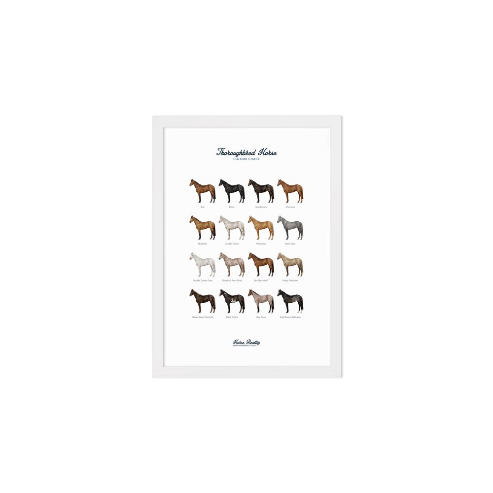 enhanced-matte-paper-framed-poster-(cm)-white-a2-(42x59.4-cm)-transparent-673e4657674d1.jpg