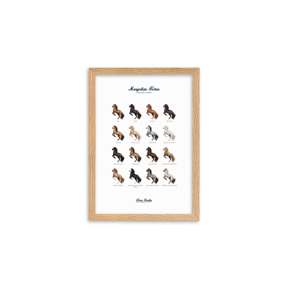 enhanced-matte-paper-framed-poster-(cm)-oak-a2-(42x59.4-cm)-transparent-673e492b81429.jpg