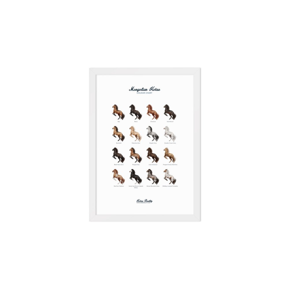 enhanced-matte-paper-framed-poster-(cm)-white-a2-(42x59.4-cm)-transparent-673e492b814cc.jpg