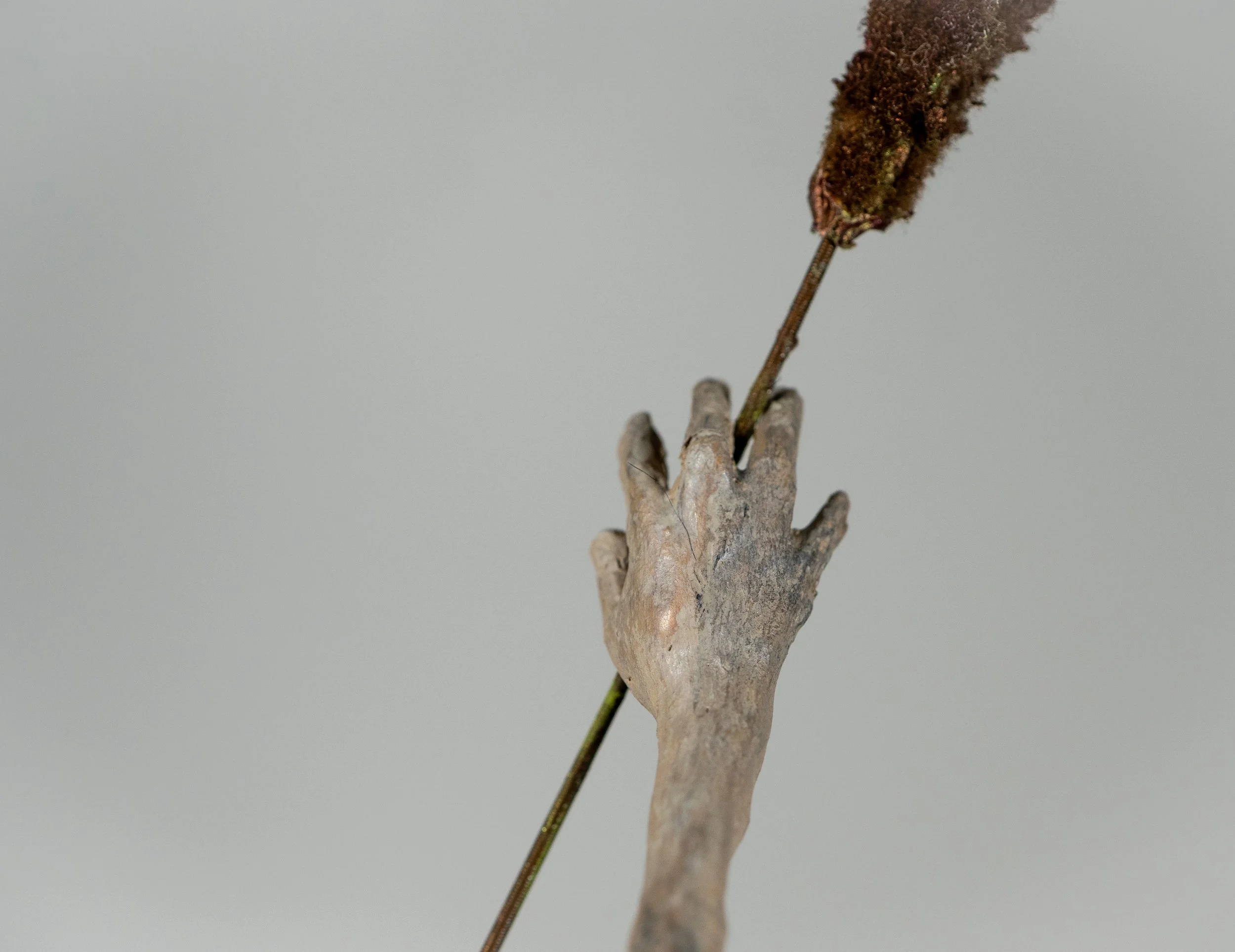 _DSC0269-2-HDR.jpg