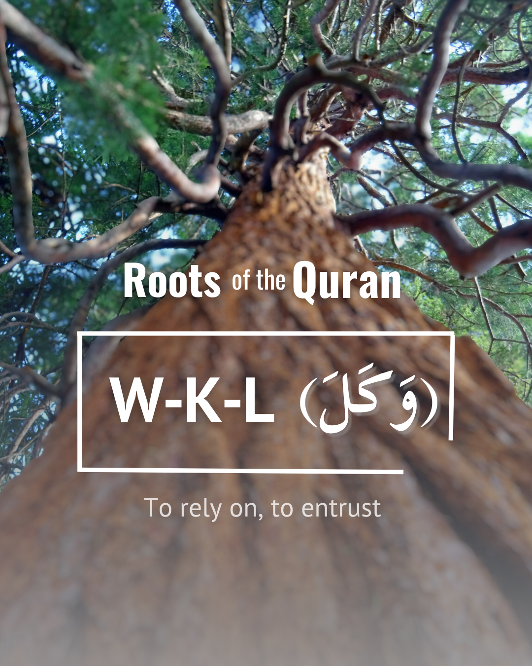 What Does It Really Mean to Rely on Allah? The Root Word W-K-L in the Quran