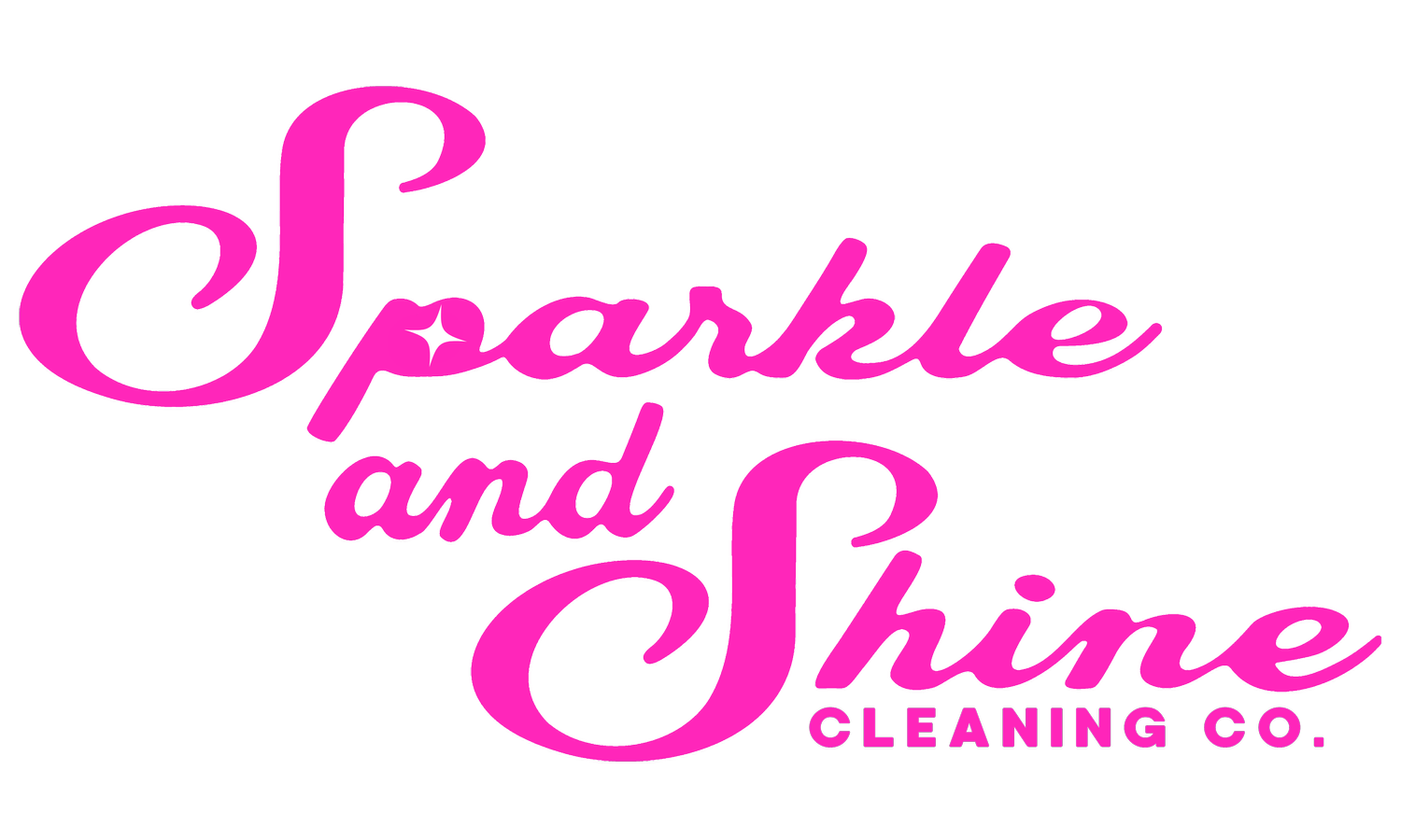 Sparkle and Shine Cleaning Co. 