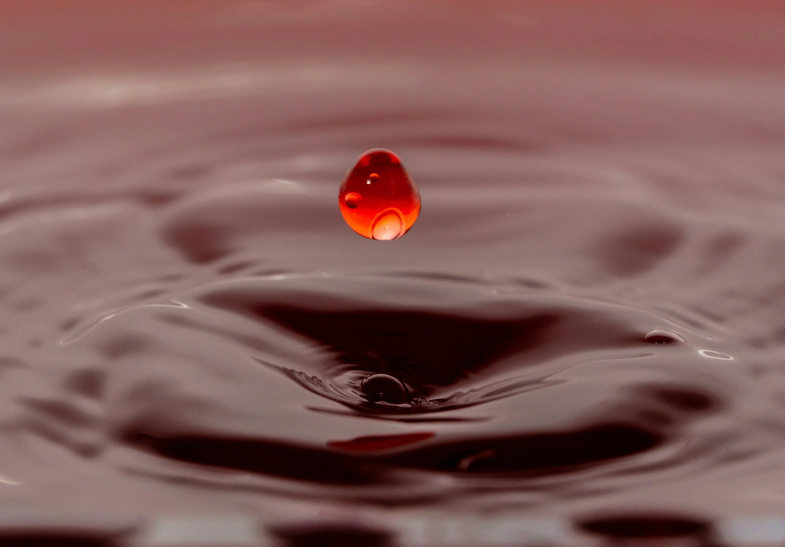 Jesus: The Crimson Blood That Speaks