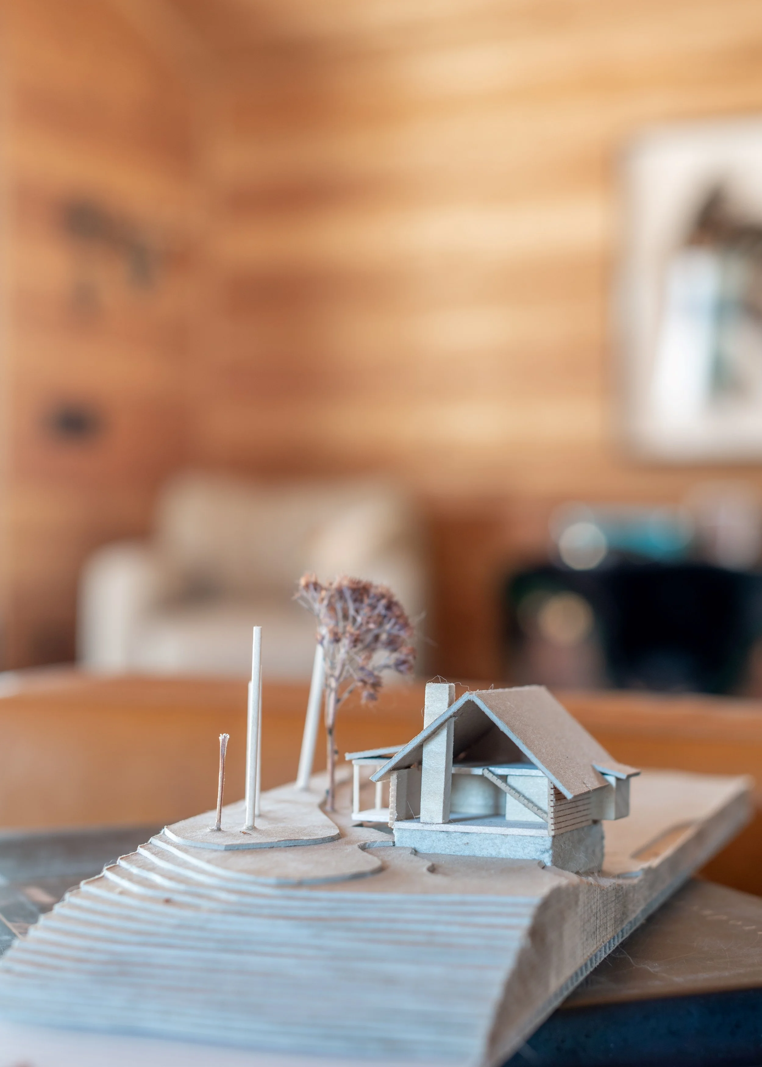 DSC_9995 resized.jpg