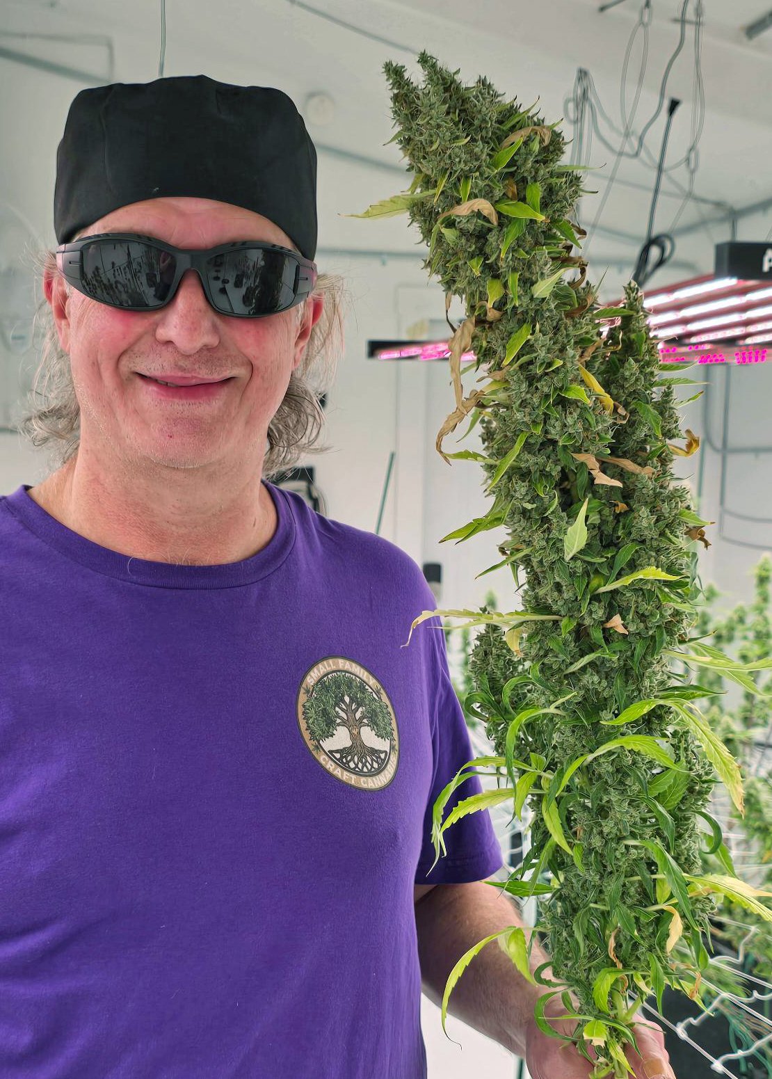 PU-G13 Haze test strain- 2025-07-20-102251_002.jpeg