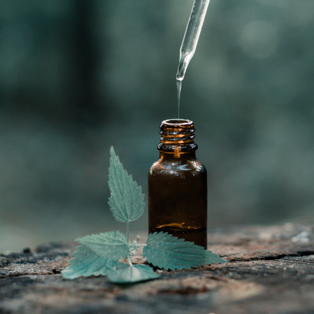 ESSENTIAL OILS: TREND OR THERAPEUTIC?