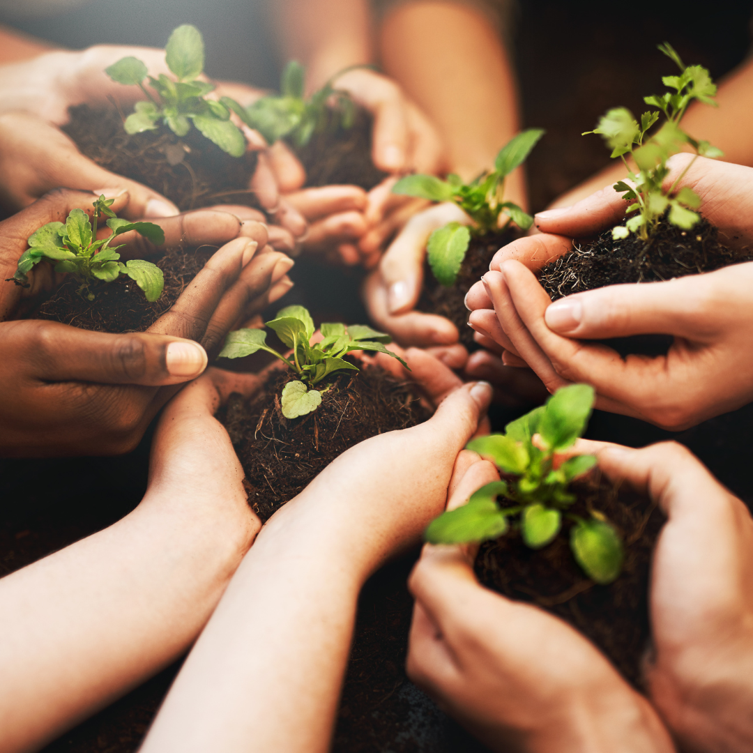 HEALING OUR PLANET, ONE NEEDLE AT A TIME: THE ROLE OF ACUPUNCTURE IN EARTH DAY