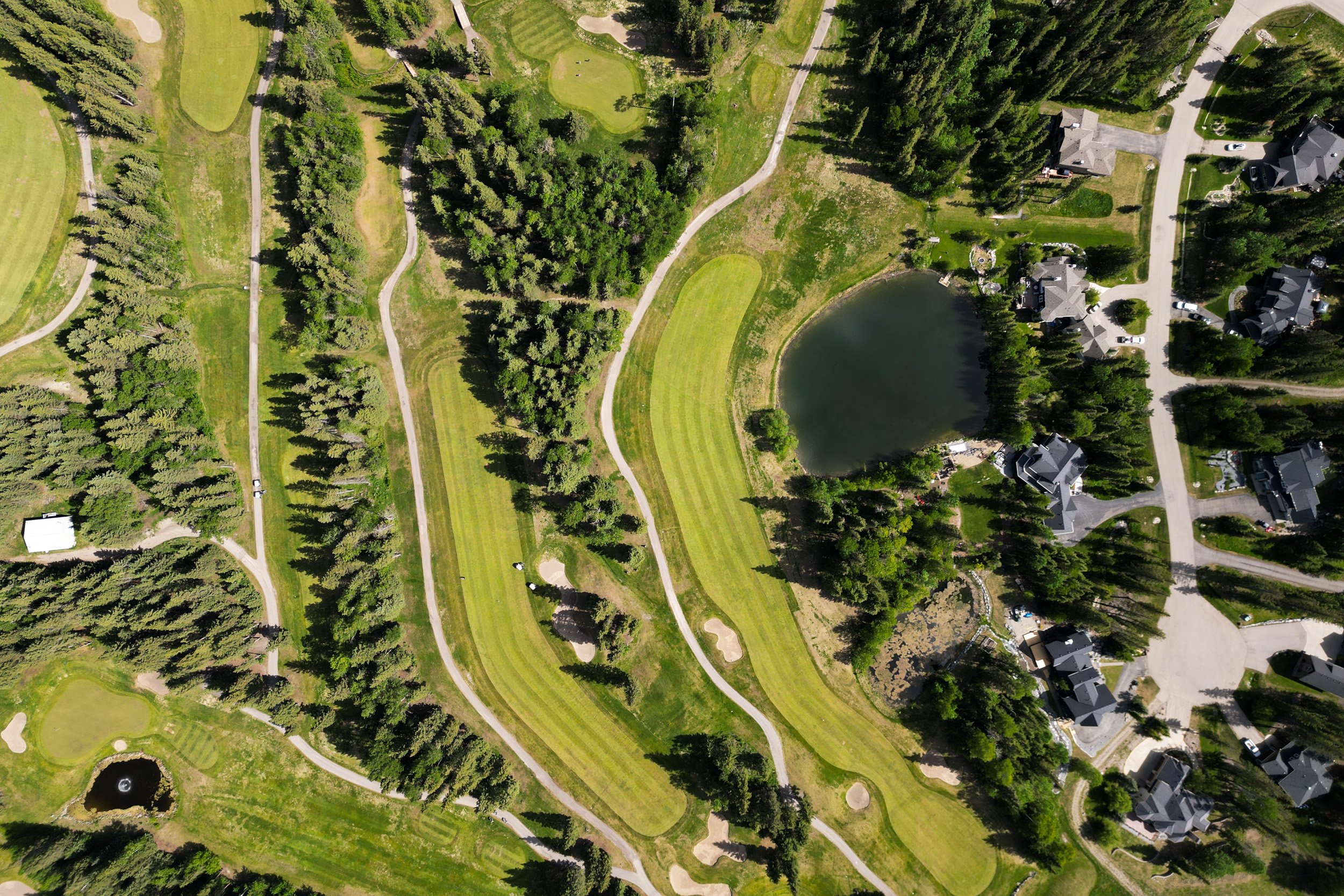DJI_0223_WEB.jpg