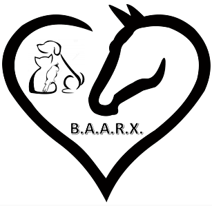 Bristlecone Animal Aid Rescue And Xpress (BAARX)