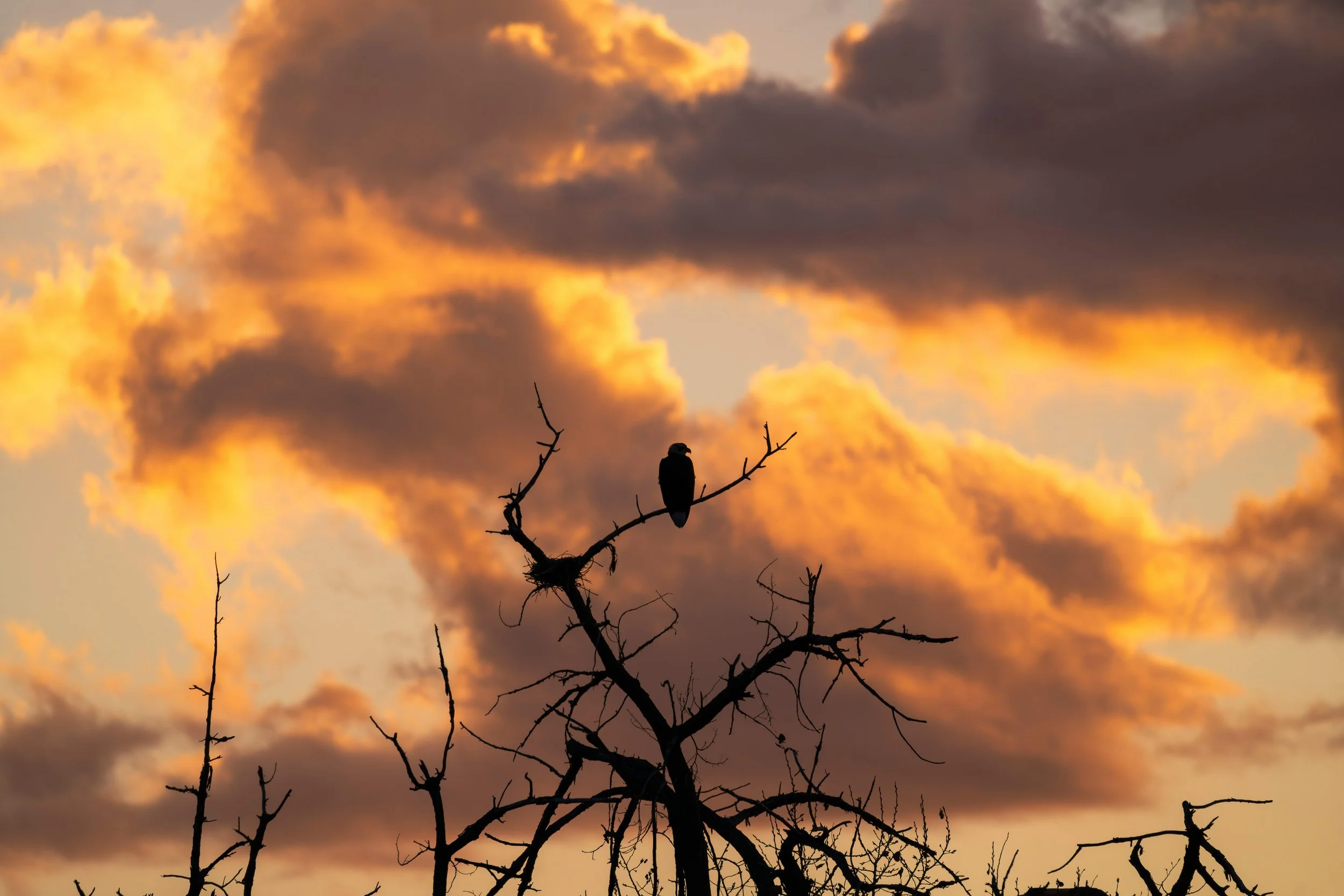 When You Notice Old Patterns Again