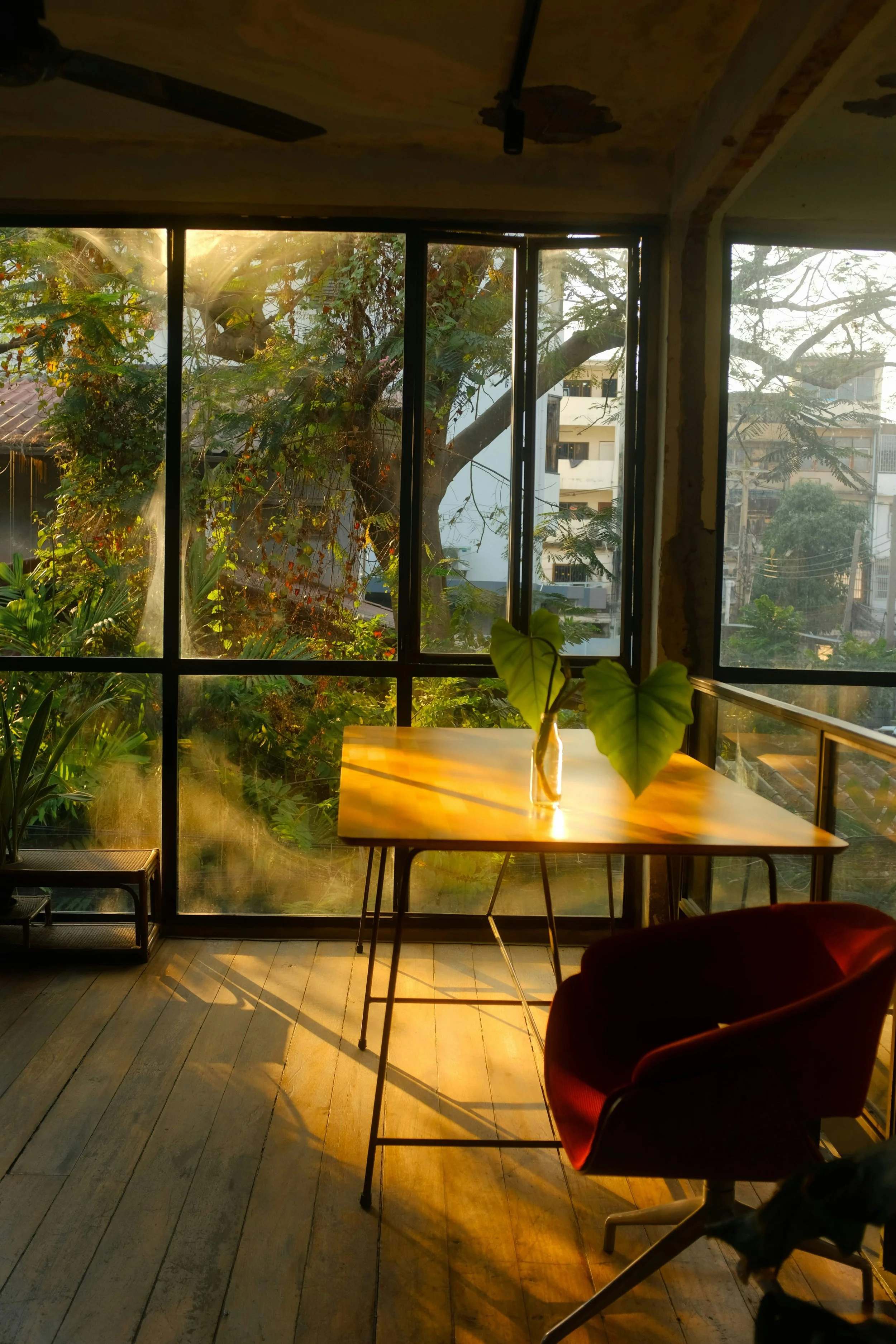 The Space Between Noticing and Judging