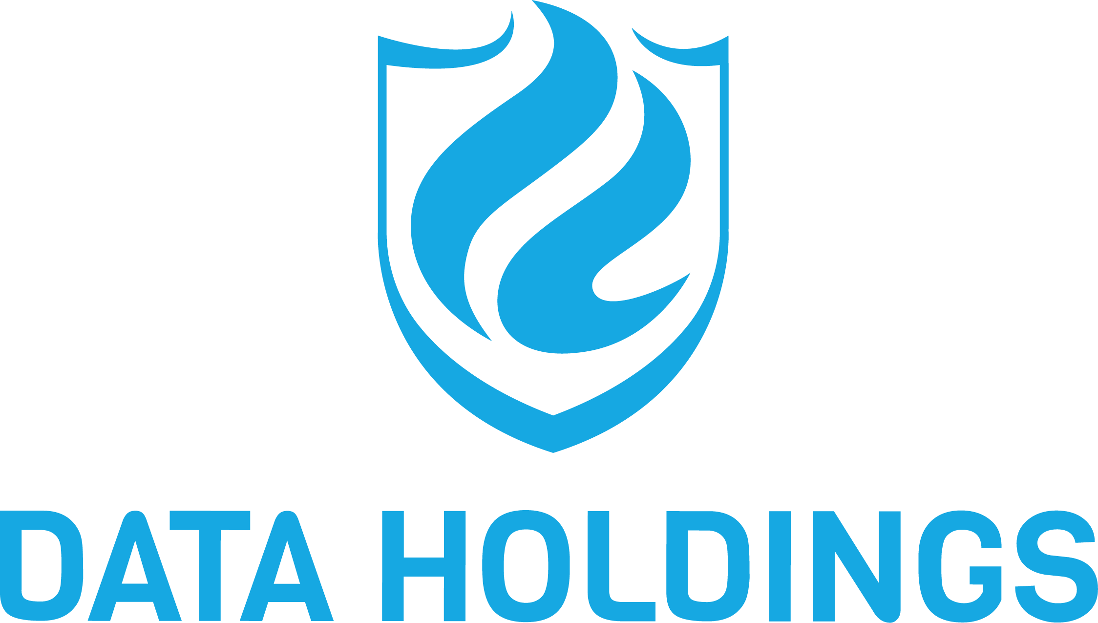 Data Holdings logo_vertical.png