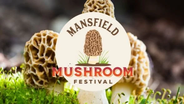 Annual Mansfield Mushroom Festival & Car Show