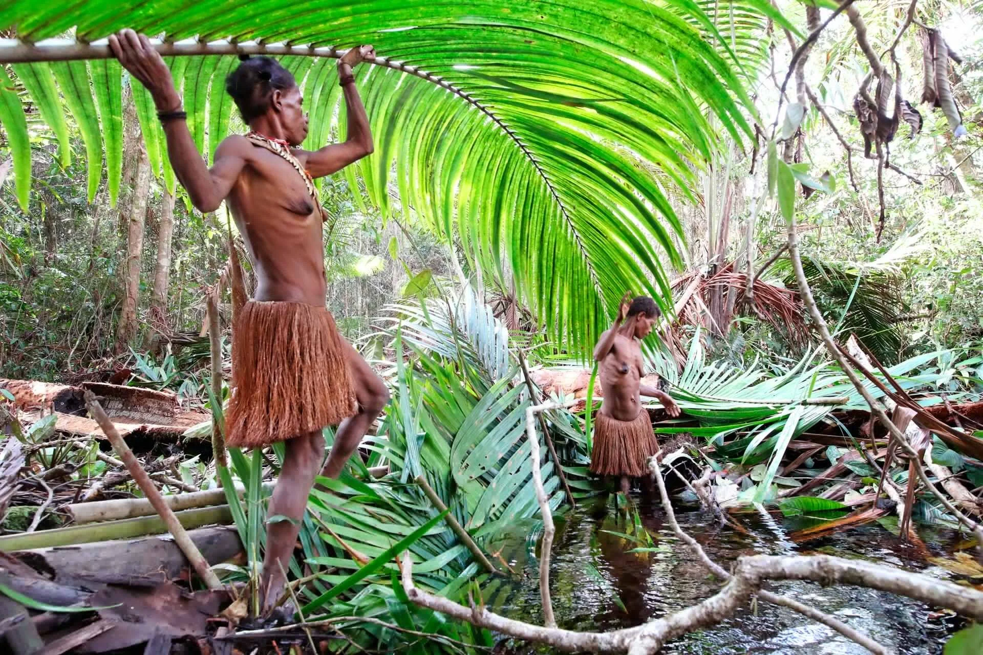 Korowai way of life