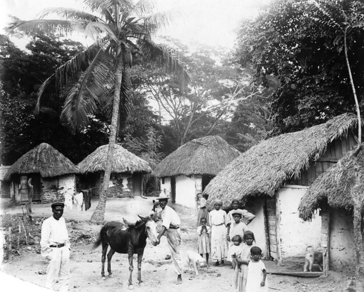 Caribbean Photo Archive. (n.d.). [Village scene with thatched-roof houses and group gathered around a donkey] [Photograph]. Flickr. https://www.flickr.com/photos/caribbeanphotoarchive/with/49059240108