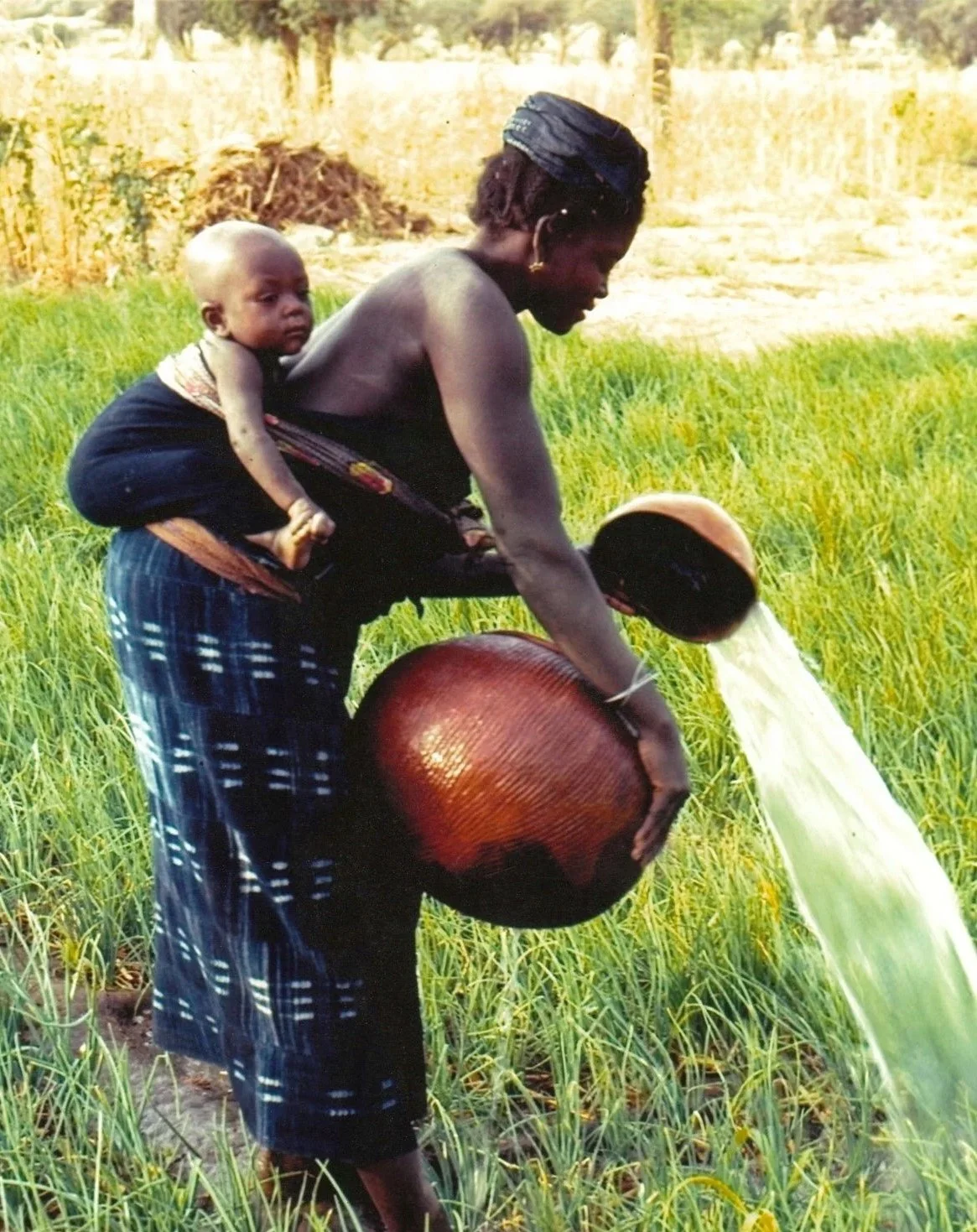 “Dogon woman, Yassima, irrigates her onion crop early each morning with water from the nearby well.” Mali. West Africa. Photographed by Beverly L. Strassman in 1981.