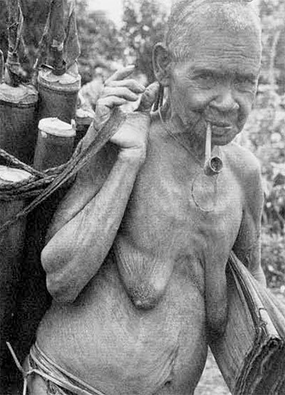 " An elderly woman, still doing her share of the domestic labor, brings bamboos of water back to the village." "The Anthropologist’s Dilemma." Expedition Magazine 14, no. 3 (March, 1972): https://www.penn.museum/sites/expedition/the-anthropologists-d