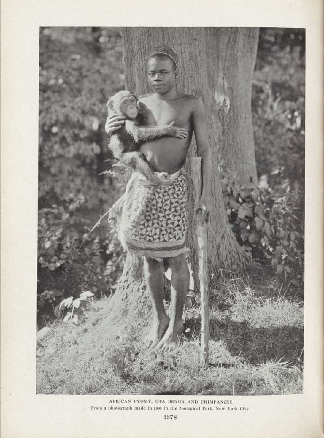 African pygmy Ota Benga and chimpanzee, vol. 19, no. 4, page 1378. https://picryl.com/media/african-pygmy-ota-benga-and-chimpanzee-vol-19-no-4-page-1378-fe4efd