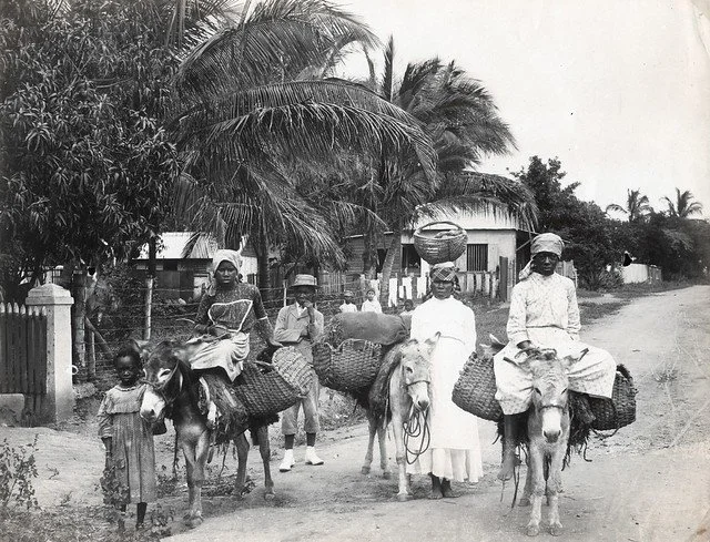 Duperly, H.S. (n.d.). Going To Market, Jamaica. [Photograph]. The Caribbean Photo Archive. https://www.caribbeanphotoarchive.com