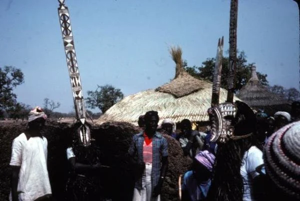 Mossi funeral north of Yako, 1977, Yatenga style karanse. The masks perform in front of the dead man's house.  via https://www.randafricanart.com/Mossi_mask_2.html