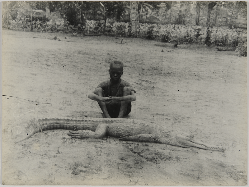 A child and a crocodile photographed by Northcote Thomas in Enugwu Ukwu, 1910-11. MAA Cambridge.