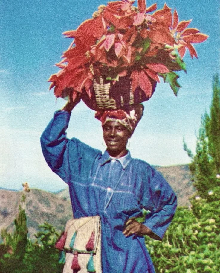 Haiti, 1954, — Source: Unknown