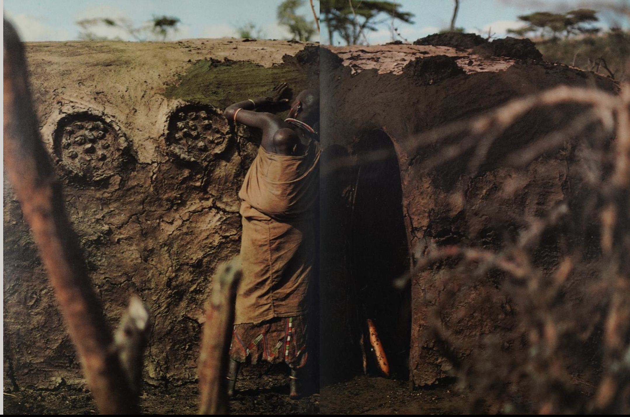 Saitoti, Tepilit Ole. Maasai. Photographs by Carol Beckwith. New York: Harry N. Abrams, Inc., 1980. (Page 206)