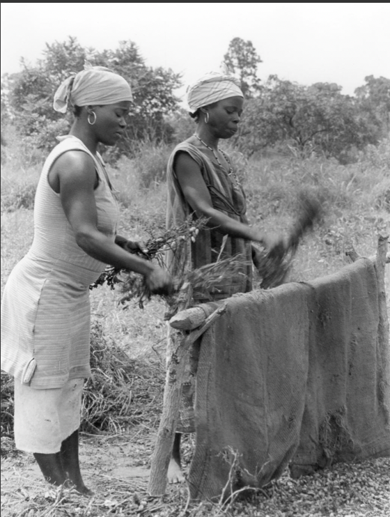 Women stripping harvested peanuts from plants [Photograph]. University of Wisconsin Digital Collections. https://search.library.wisc.edu/digital/AZ56VSREG6DAD48E
