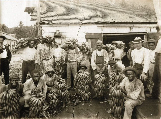 A. Duperly & Sons. (1890). Banana Carriers, Jamaica. [Photograph]. The Caribbean Photo Archive. https://www.caribbeanphotoarchive.com