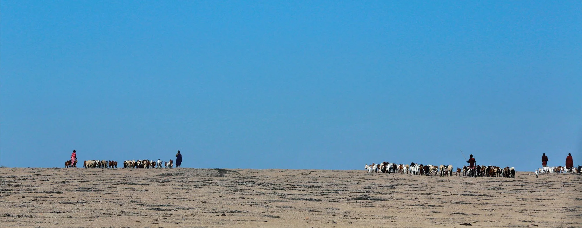 Vice: The Ecotourism Industry Is Saving Tanzania’s Animals and Threatening Its Indigenous People
By Jean Friedman-Rudovsky
May 12, 2015. Photo by Noah Friedman-Rudovsky. https://www.vice.com/en/article/casualties-of-conservation-0000649-v22n5/