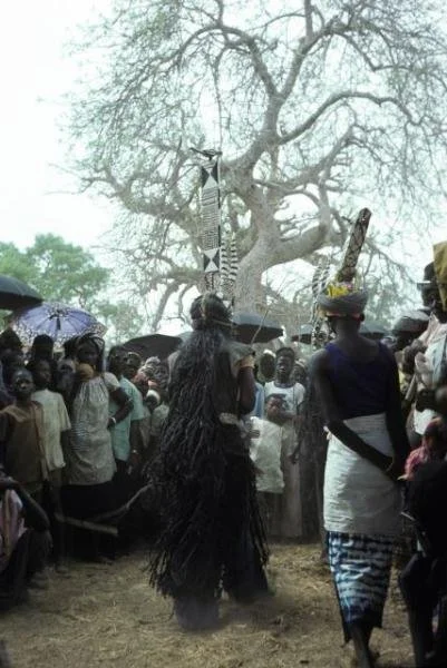 Mossi funeral north of Yako, 1977, Yatenga style karanse. The masks perform in front of the dead man's house.  via https://www.randafricanart.com/Mossi_mask_2.html