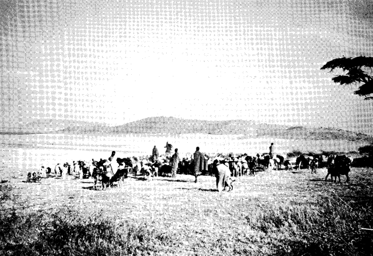 Arhem, Kaj. 1985. The Maasai and the State: The Impact of Rural Development Policies on a Pastoral People in Tanzania. IWGIA Document 52. Copenhagen: International Work Group for Indigenous Affairs. (Page 26, "A pastoral scene: herdsmen and small sto