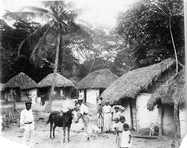 A. Duperly & Sons. (n.d.). Rural Village, Jamaica. [Photograph]. The Caribbean Photo Archive. https://www.caribbeanphotoarchive.com