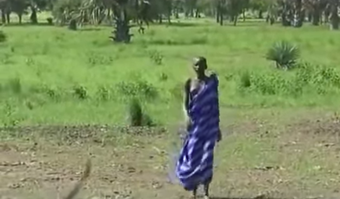 Odisseia Tribal Os Dinka Tribal Odyssey The Dinka 