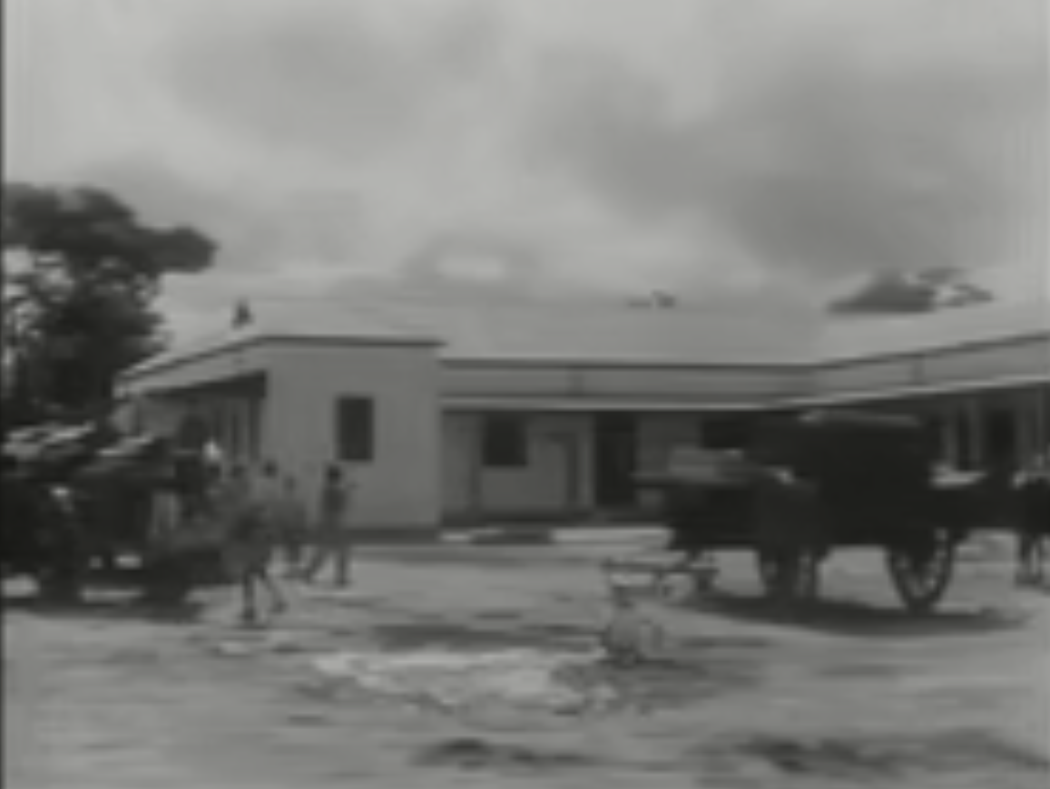 Untamed Africa, a documentary by Margaret C. Hubbard and Wynant D. Hubbard (1933).