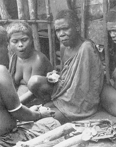  "A group of Kwaio girls and women eat roast taro outside their house. This afternoon meal is the only large 
regular meal of the day." "The Anthropologist’s Dilemma." Expedition Magazine 14, no. 3 (March, 1972): https://www.penn.museum/sites/expedit