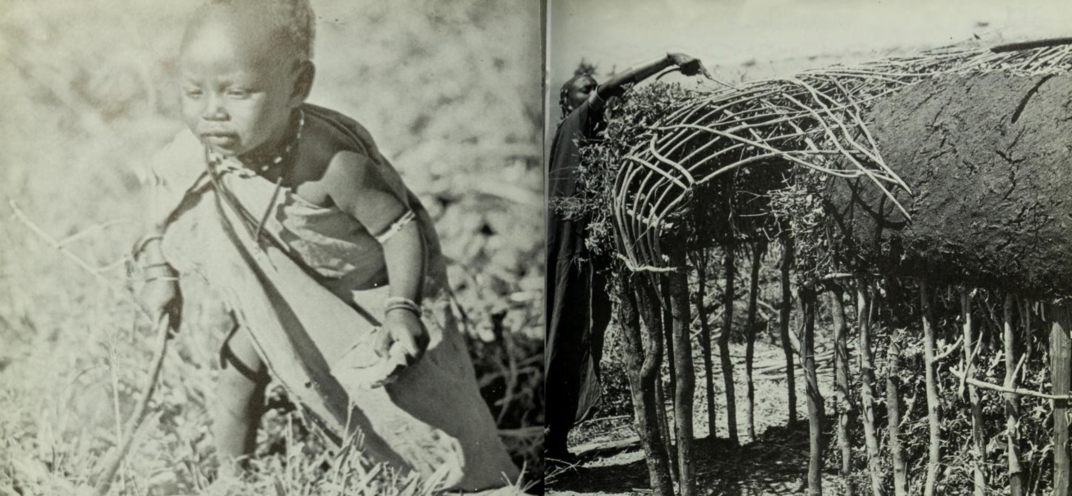 Zeleza, Paul Tiyambe. Maasai. New York: Rosen Publishing Group, 1994. (Page 27/28)
