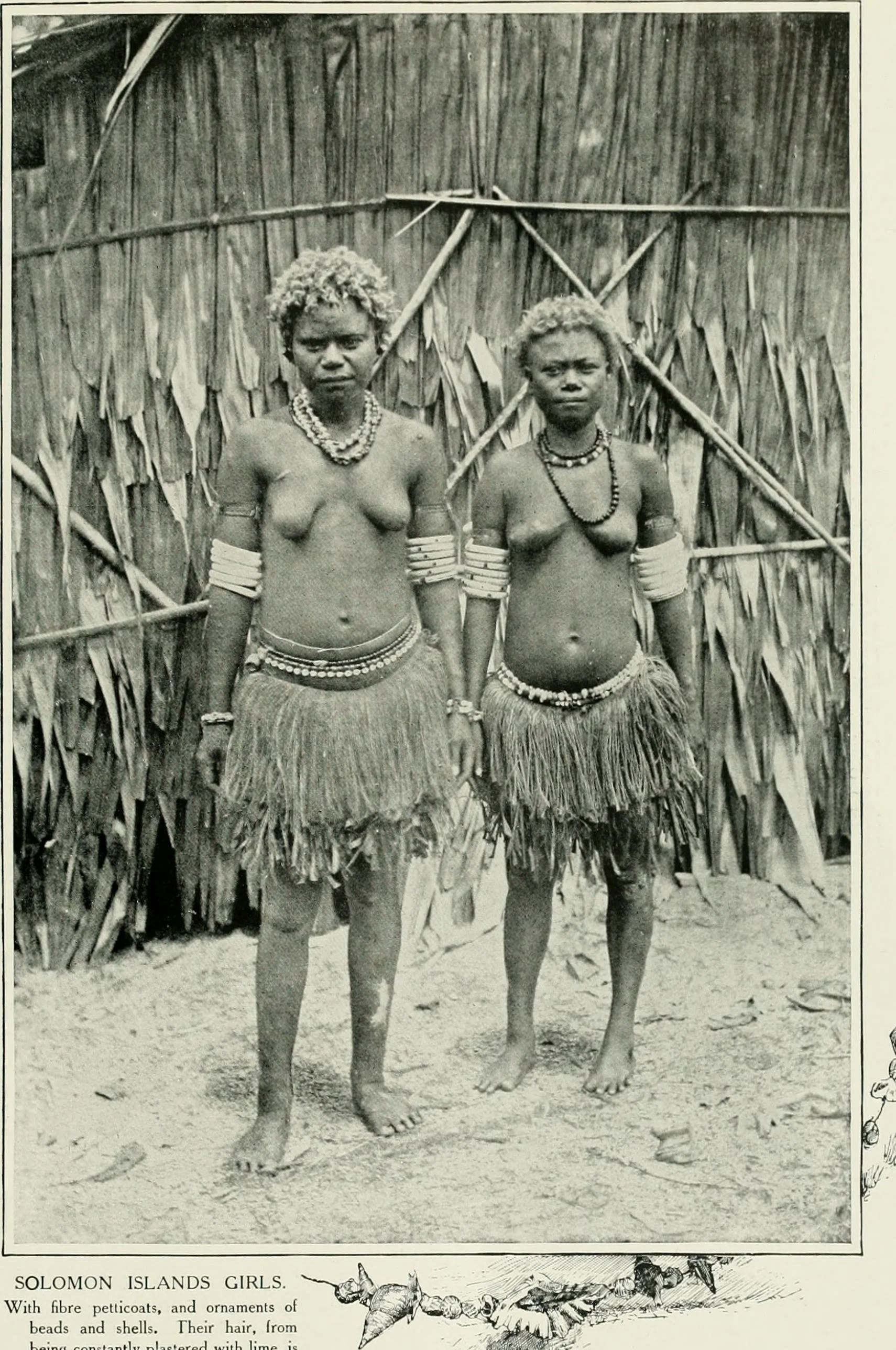 "Solomon Islands girls: With fibre petticoats, and ornaments of beads and shells. Their hair, from being constantly plastered with lime, is bleached to a reddish hue. 1908"
Women of all nations, a record of their characteristics, habits, manners, cus