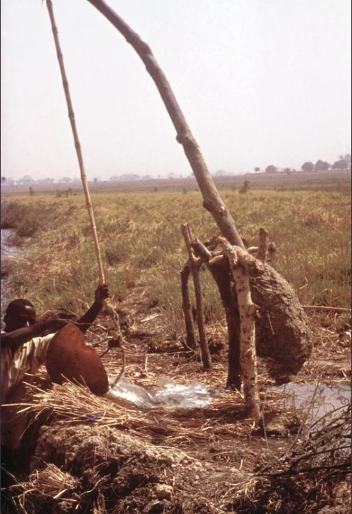 Irrigation by Shaduf in Northern Nigeria [Photograph]. University of Wisconsin Digital Collections. https://search.library.wisc.edu/digital/A7IXTJNUMXK6D79E