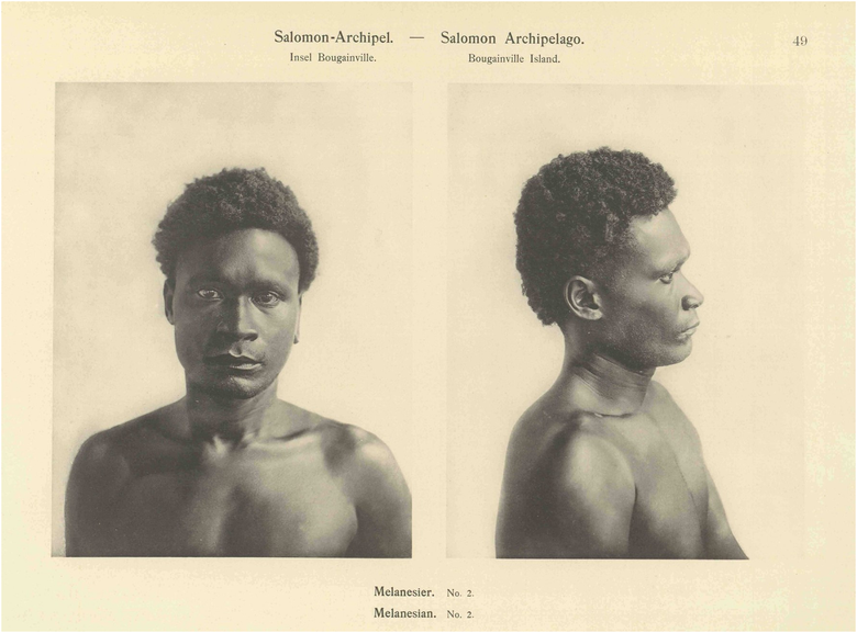 “Solomon Islands, Bougainville Island,” “Melanesian nr. 2” (Hagen 1906, 49). (Courtesy of Bayerische Staatsbibliothek) [This figure appears in color in the online issue]