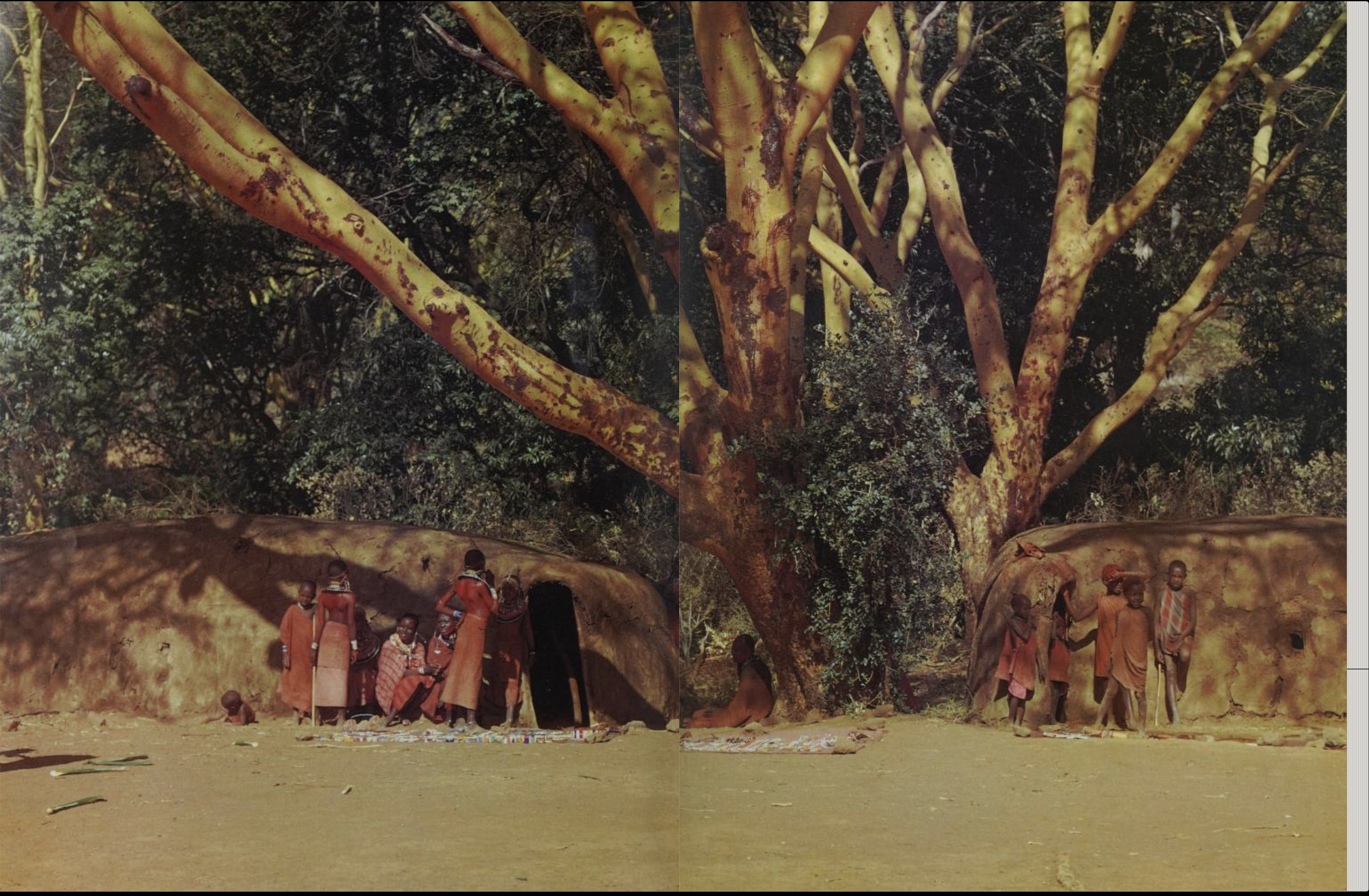 Saitoti, Tepilit Ole. Maasai. Photographs by Carol Beckwith. New York: Harry N. Abrams, Inc., 1980. (Page 8)