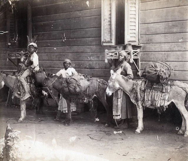 A. Duperly & Sons. (1890). Small group starting Out For Kingston, Jamaica . [Photograph]. The Caribbean Photo Archive. https://www.caribbeanphotoarchive.com
