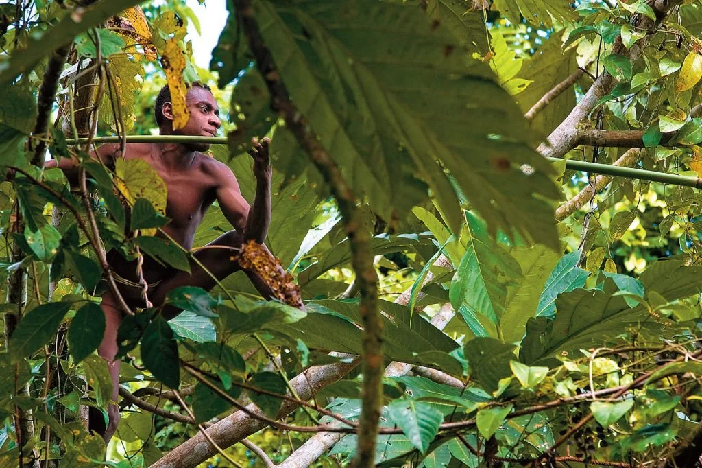 West Papua Korowai - via Davor Rostuhar. 
