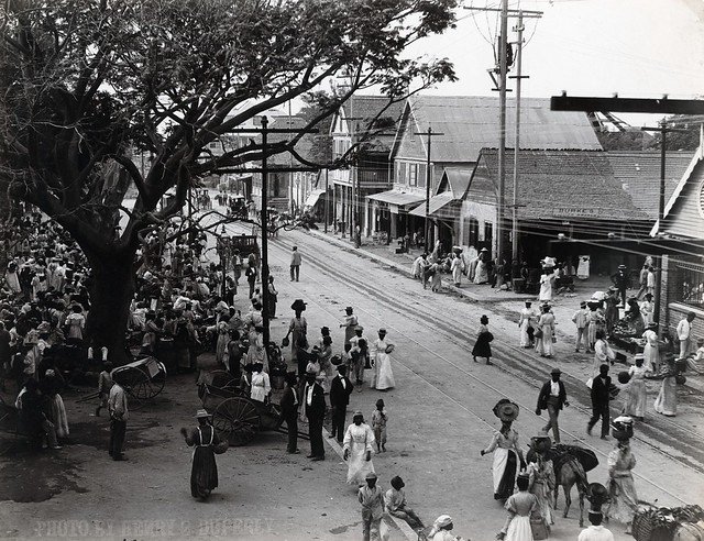 Duperly, H.S. (n.d.).  King Street, Kingston. [Photograph]. The Caribbean Photo Archive. https://www.caribbeanphotoarchive.com