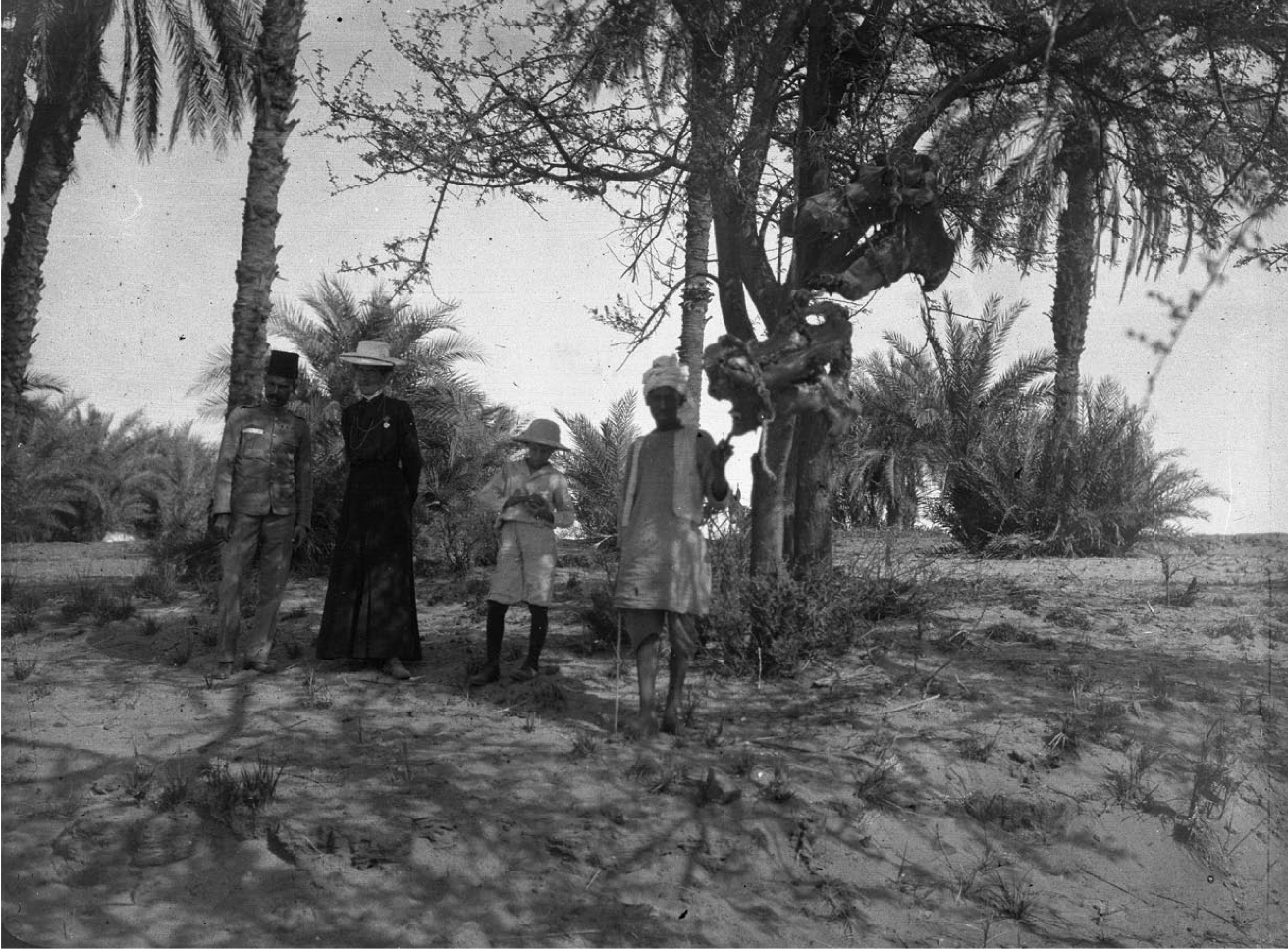 Hippopotamus Heads Hanging from a Tree at Sakamatto, 1907. Oriental Institute, University of Chicago. P. B1015