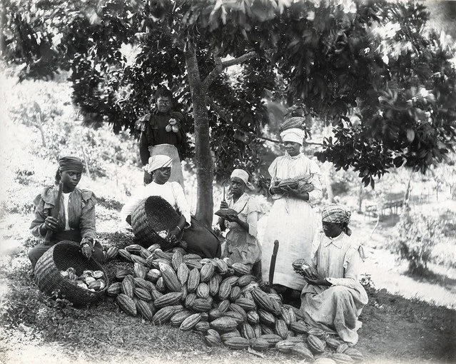 A. Duperly & Sons. (n.d.). Pulping Chocolate in Jamaica. [Photograph]. The Caribbean Photo Archive. https://www.caribbeanphotoarchive.com