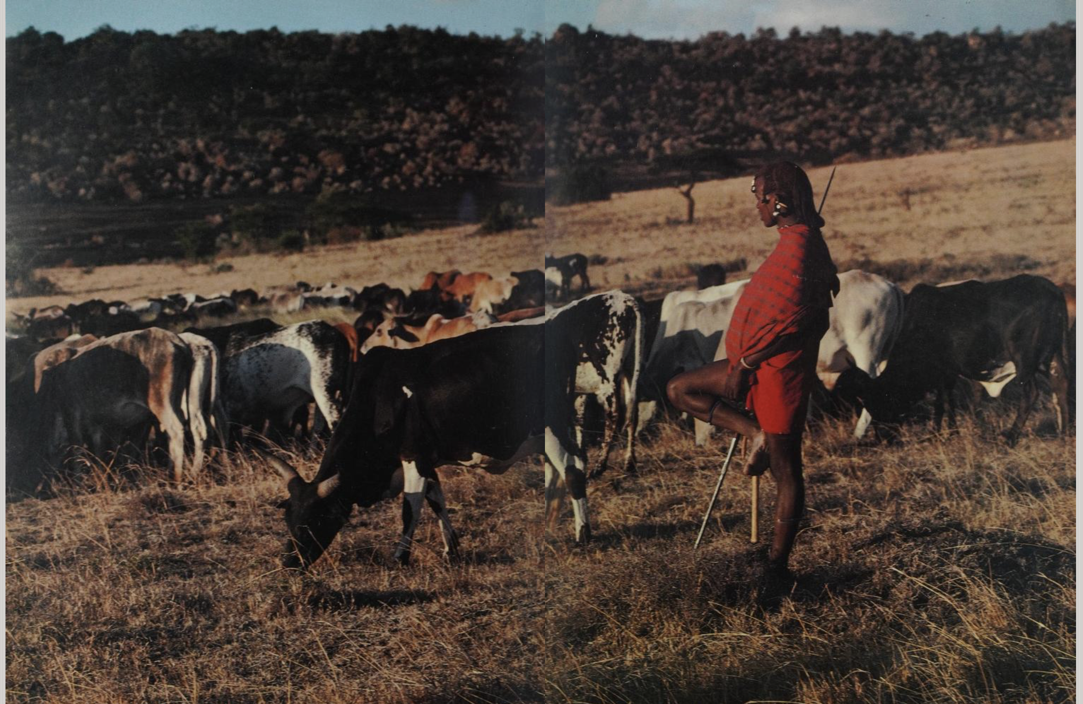 Saitoti, Tepilit Ole. Maasai. Photographs by Carol Beckwith. New York: Harry N. Abrams, Inc., 1980.