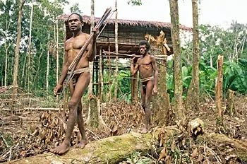 Korowai
