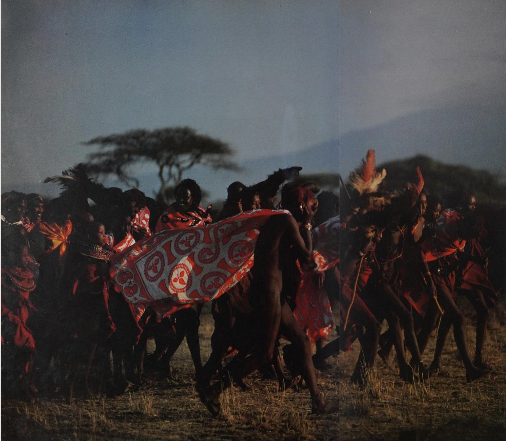 Saitoti, Tepilit Ole. Maasai. Photographs by Carol Beckwith. New York: Harry N. Abrams, Inc., 1980. (Page 18)