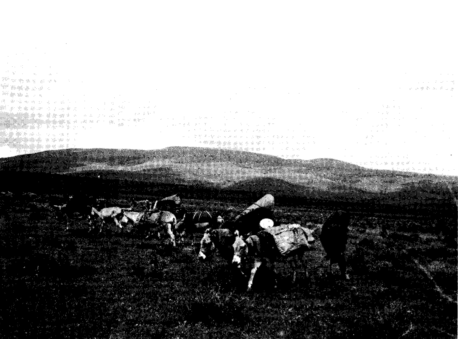 Arhem, Kaj. 1985. The Maasai and the State: The Impact of Rural Development Policies on a Pastoral People in Tanzania. IWGIA Document 52. Copenhagen: International Work Group for Indigenous Affairs. (Page 43 "Struggling against the wind in the Ngoron